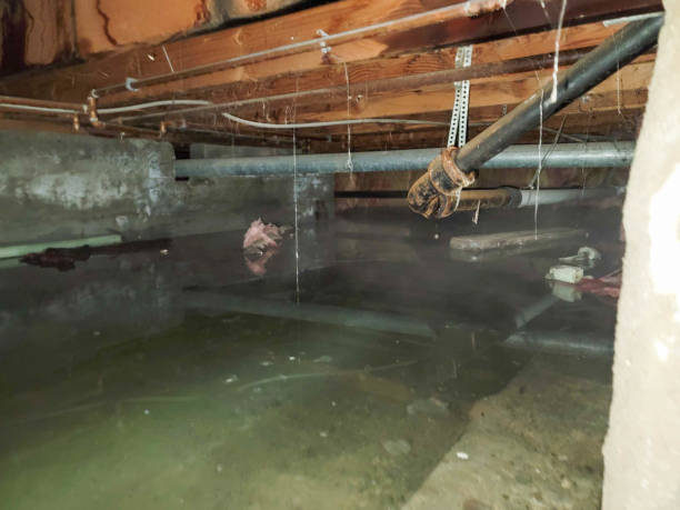 Best Flooded house restoration  in Tenafly, NJ