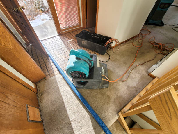  Tenafly, NJ Water damage restoration Pros