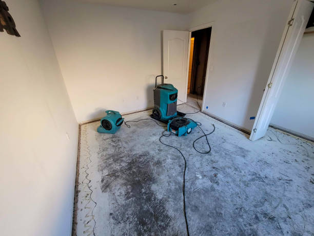 Best 24/7 water damage repair  in Tenafly, NJ