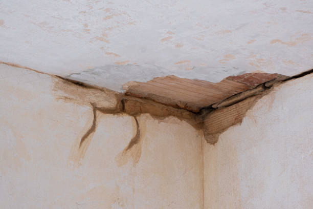 Best Flood restoration services  in Tenafly, NJ