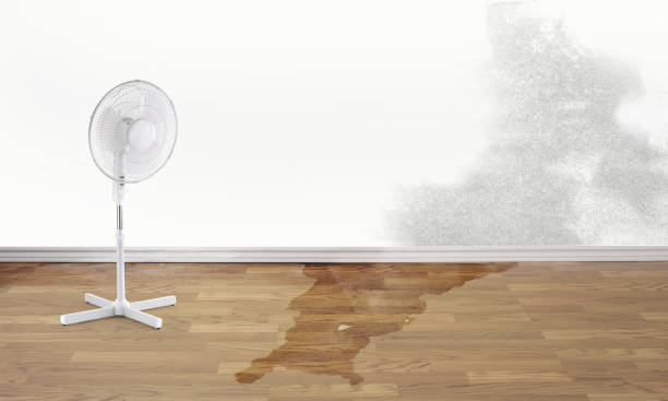 Best Water damage repair service  in Tenafly, NJ